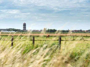 Derby - Image 5