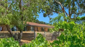Picturesque Vineyard Farmhouse Nestled on 40-Acres - Image 5