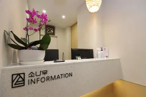 Chuncheon Pine Tree Hotel - Image 4