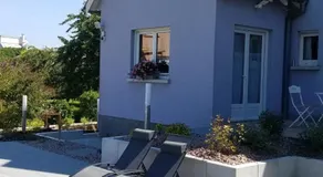 Les mésanges de l'Ill - Image 2