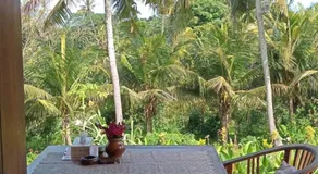 Cegeng Lestari Guesthouse - Image 3