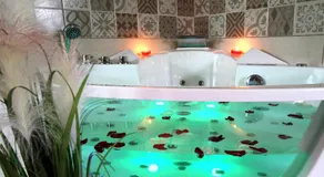 Green Spa - Image 2