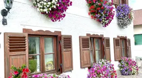 Gut im Schlag - Image 2