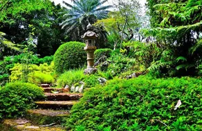 Gami Niwasa Home Stay - Image 3