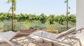 TENUTAYALA - Residenza Agrituristica - Image 5