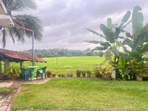 Rice field Retreat - Image 4