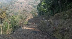 Harit Agro Avocado farm house stay - Image 3