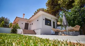 The lemon house - Image 3