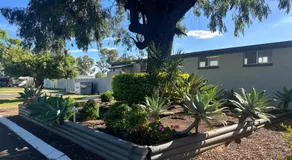 Pioneer Caravan Park - Image 5