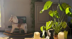 Erve de Kippe - Logies bij de Barones - Image 3