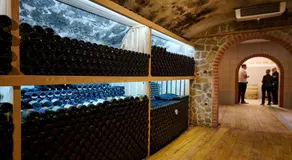 Eco Wine House Kaloh - Image 2