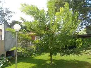 Suites do Tombo - Image 2