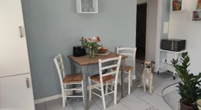 City Nest - Große gemütliche Ferienwohnung mit Terrasse, zentral gelegen, für Paare, Familien und Hunde! - Image 4