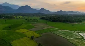Seethavanam Farmstay at Forest Edge - Image 5