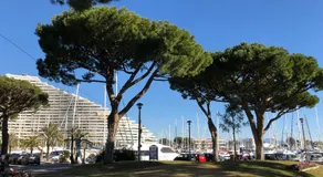 LA STUDETTE MARINA 06 I VILLENEUVE LOUBET - Image 5