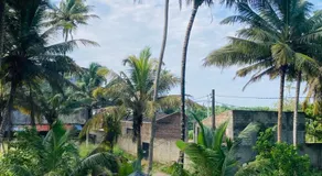 Tropical Point Inn - Image 2