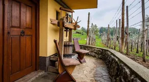 Holiday home in Novo Mesto - Dolenjska Bela krajina Unter- Weißkrain 42895 - Image 5