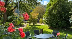 Pension zur Linde - Image 3