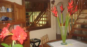 Bottlenose B&B - Image 3
