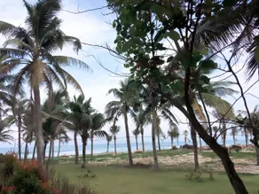 Villa Luxury for Korean  in Da nang - Image 2