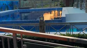Nahas Beach Resort - Image 4