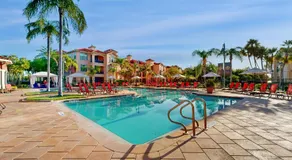 Clearwater Captivation - Image 4