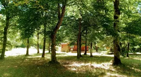 Chalet en forêt, brame du cerf - Image 4