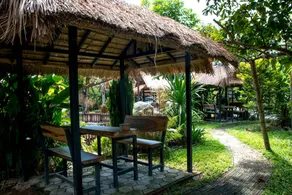 Papa's Garden - Image 4