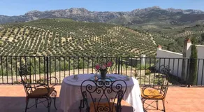 La Almedina casa Bellavista - Image 2