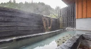 Hirayama Onsen Ryokan Kadoya - Image 4