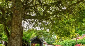Alexandria Bed and Breakfast - Image 5