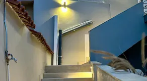 Saint Nicolas luxury apartment - Image 4
