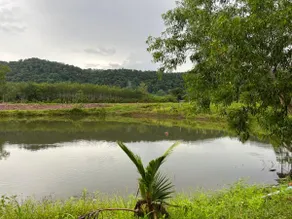 BaanSuanAhku บ้านสวนอากู๋ นายายอาม - Image 3