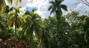 Hacienda Chichen Resort and Yaxkin Spa - Image 2