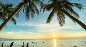 Sea Sand Trees - Image 5