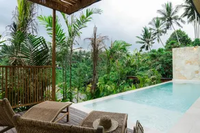 Magical Jungle Resort - Image 2