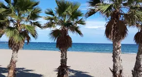 B&B Sensaltro - Image 5
