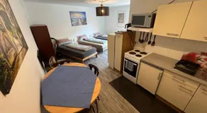 Mühlweg-Apartment - Image 1