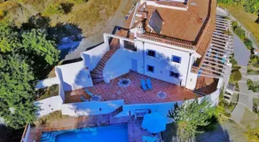 Algarrobo Azul - Image 4