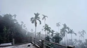 Siej Homestay - Image 3