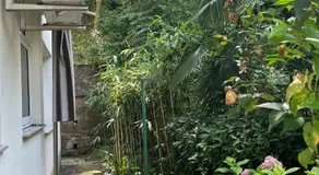 Evelyn - Image 4
