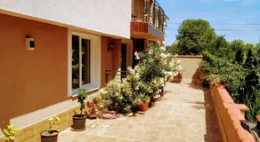 Dracena Guesthouse - Image 3