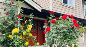 Garden home in Victoria - Image 4