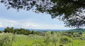 Le Cabanon des oliviers - Image 4