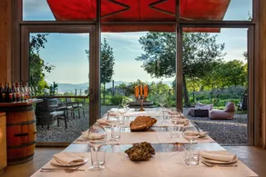 Valdonica Winery-Residence- Restaurant - Image 2