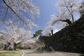 Kumeya - Image 5