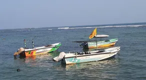 Turtle Paradise Beach - Image 4