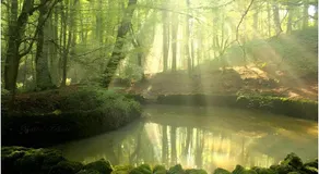 Casa Natura Gargano - Image 1