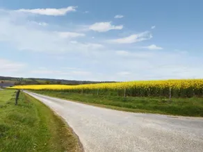 Tour de France Retreat - Image 5