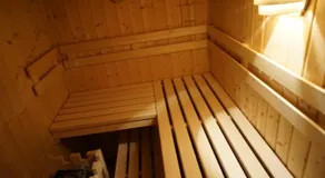 Bergheim Schmidt Ski-In Ski-Out Appartements Almhütten im Wald - Image 4
